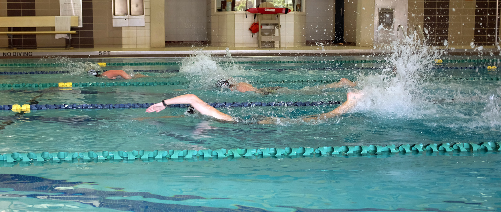 Franklin Pierce women's swimming